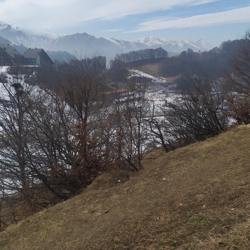 Fotosegnalazione di Prato nevoso
