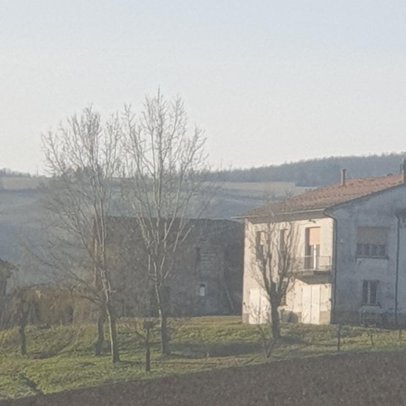 Sole sopra bazzigantella