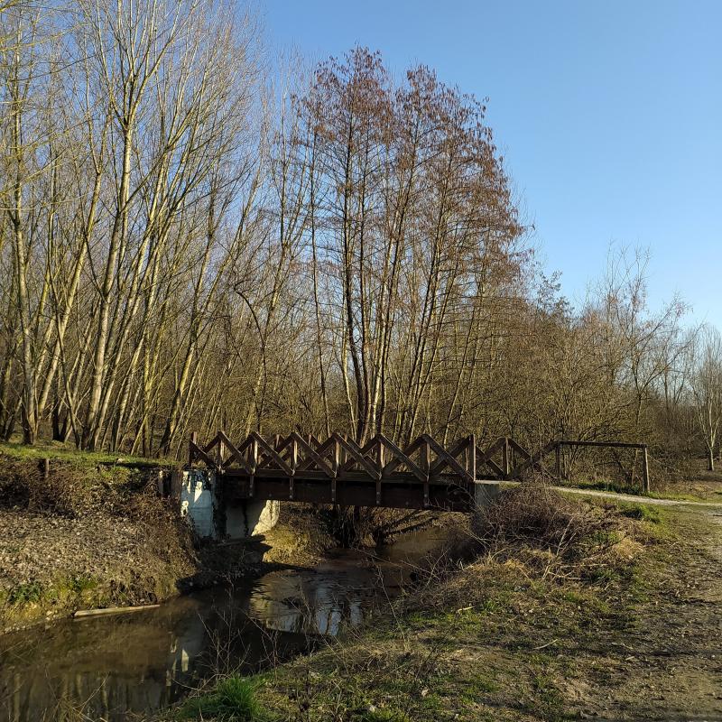 Fotosegnalazione di Pavia