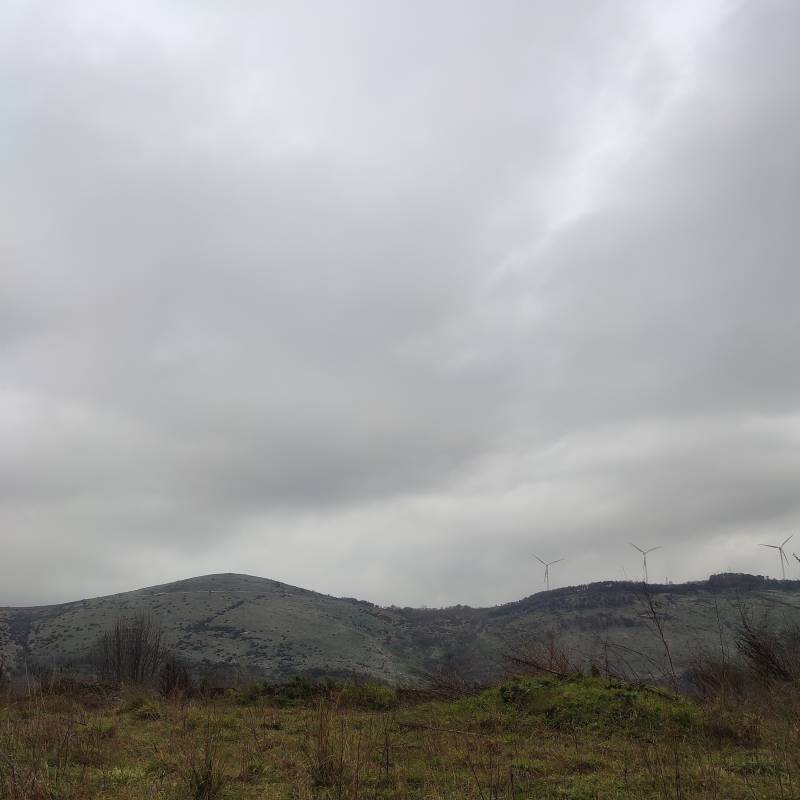 Condizioni meteo del 14 febbraio 2022 alle 12
