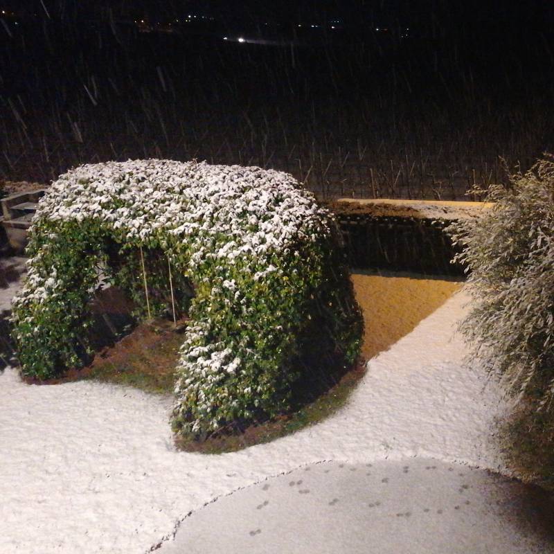 Fotosegnalazione di Besenello
