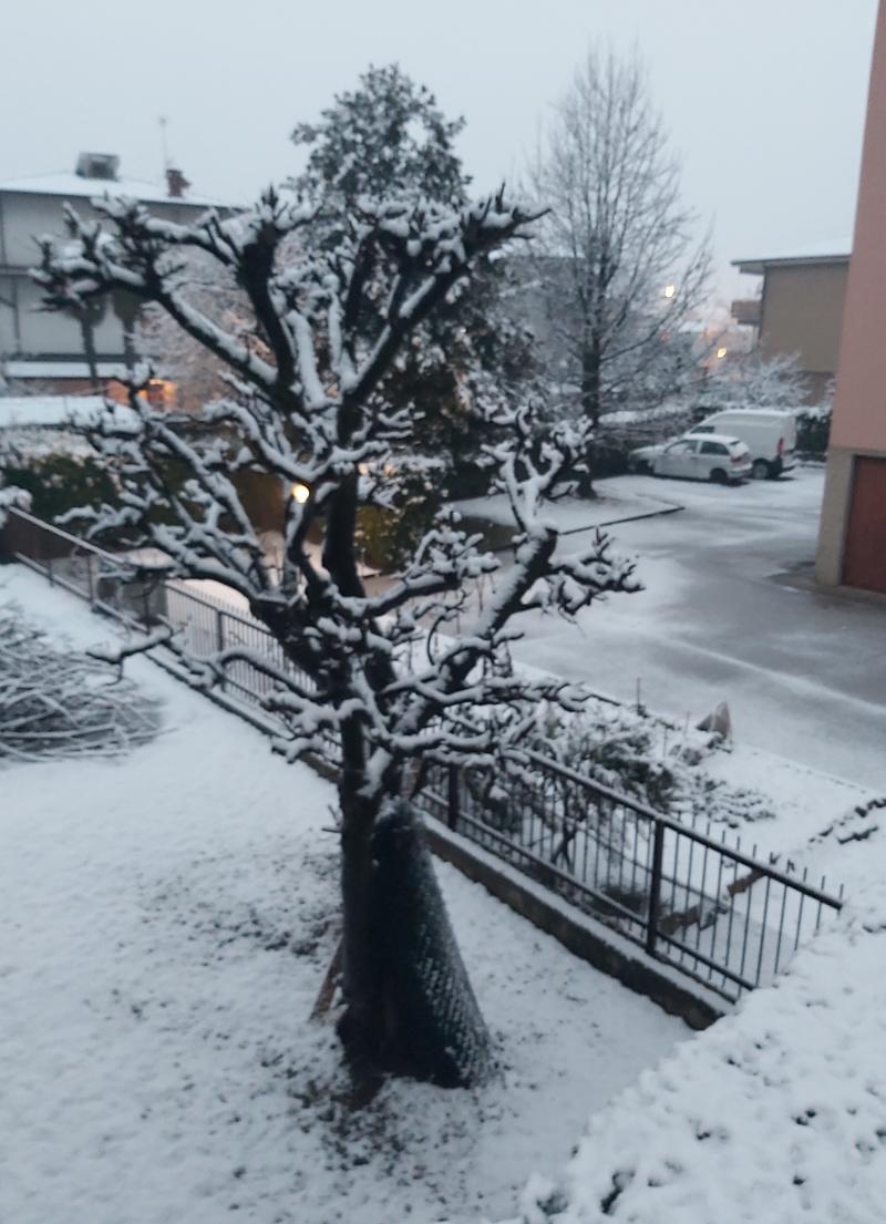 Entratico leggera nevicata