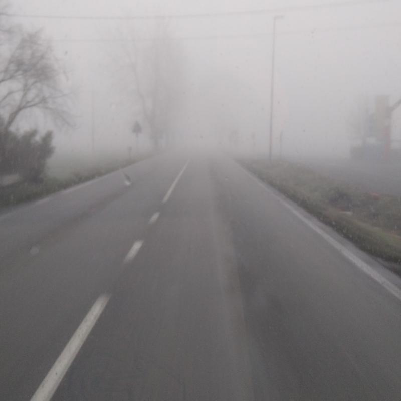 Fotosegnalazione di Sale