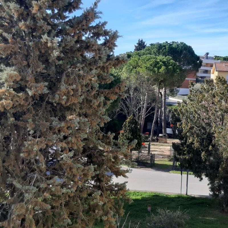 Fotosegnalazione di Recanati