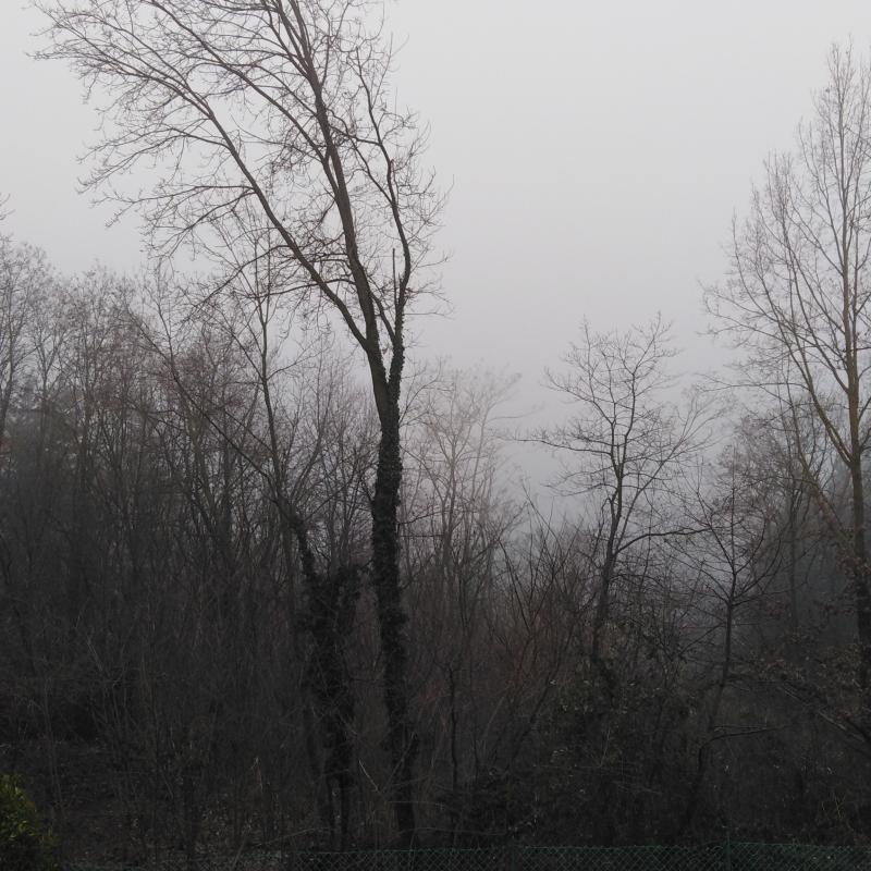 Fotosegnalazione di Borgomanero