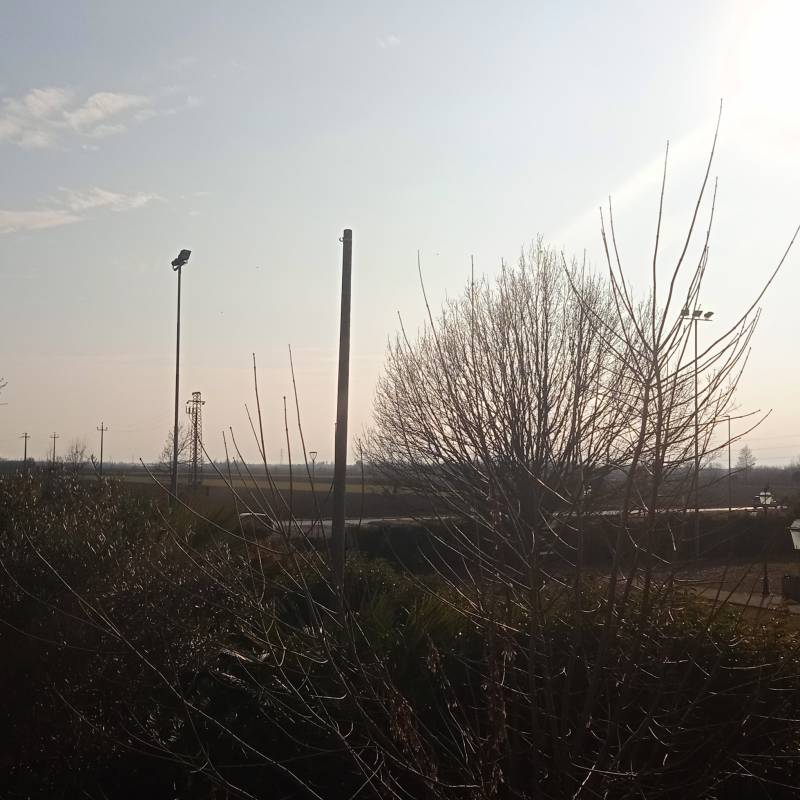 Fotosegnalazione di Campagna lupia