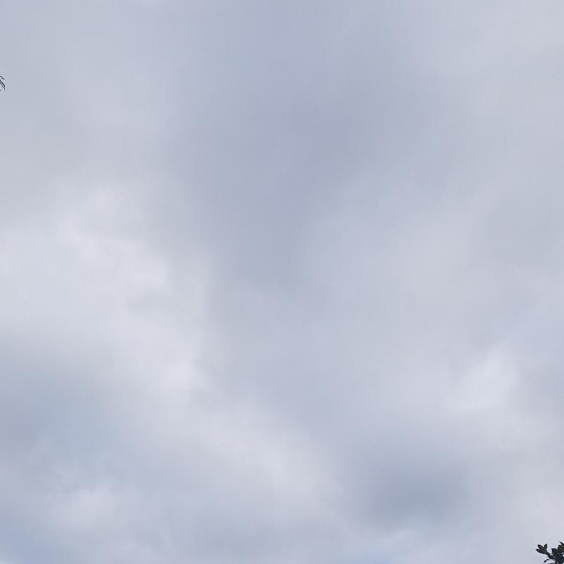 Sono un carabiniere