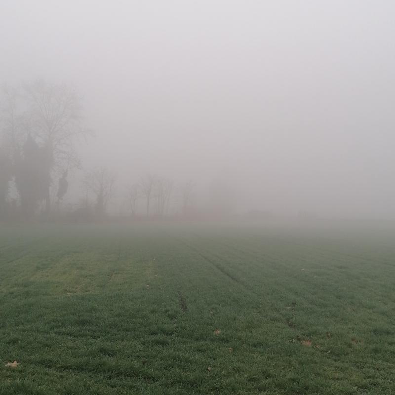 Fotosegnalazione di Povegliano veronese