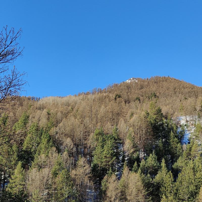 Fotosegnalazione di Bardonecchia