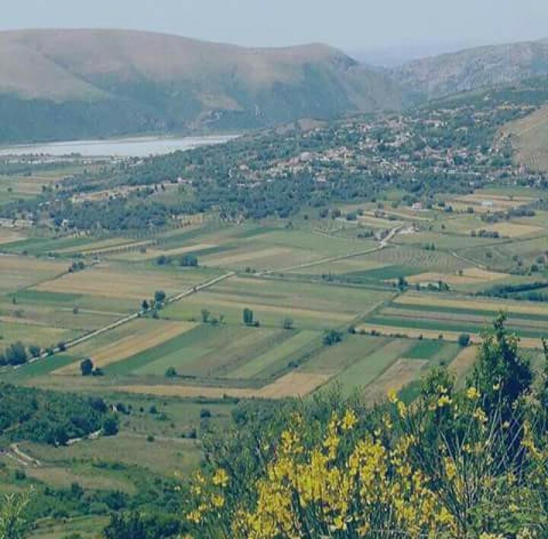 Fshati kut mallakastr