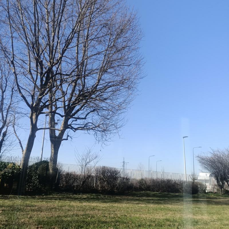 Fotosegnalazione di Mi olgettina
