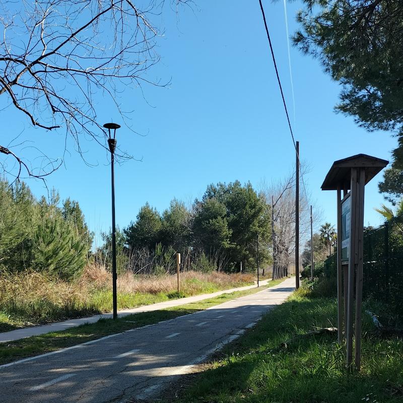 Fotosegnalazione di Vasto