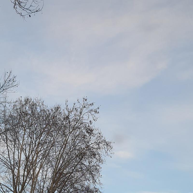 Fotosegnalazione di Roma val melaina