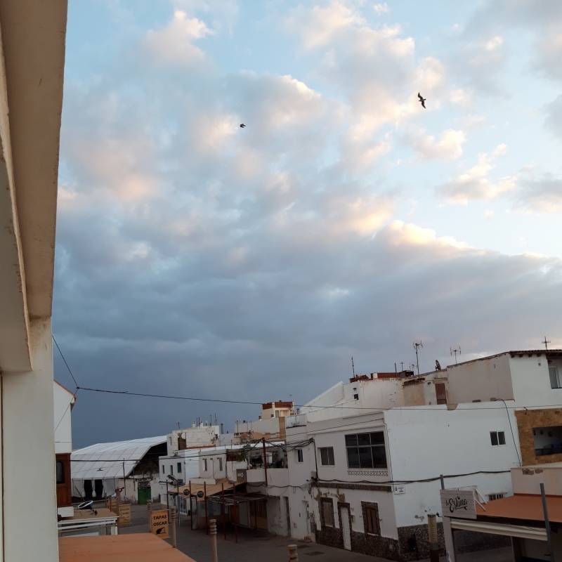 Fotosegnalazione di Corralejo