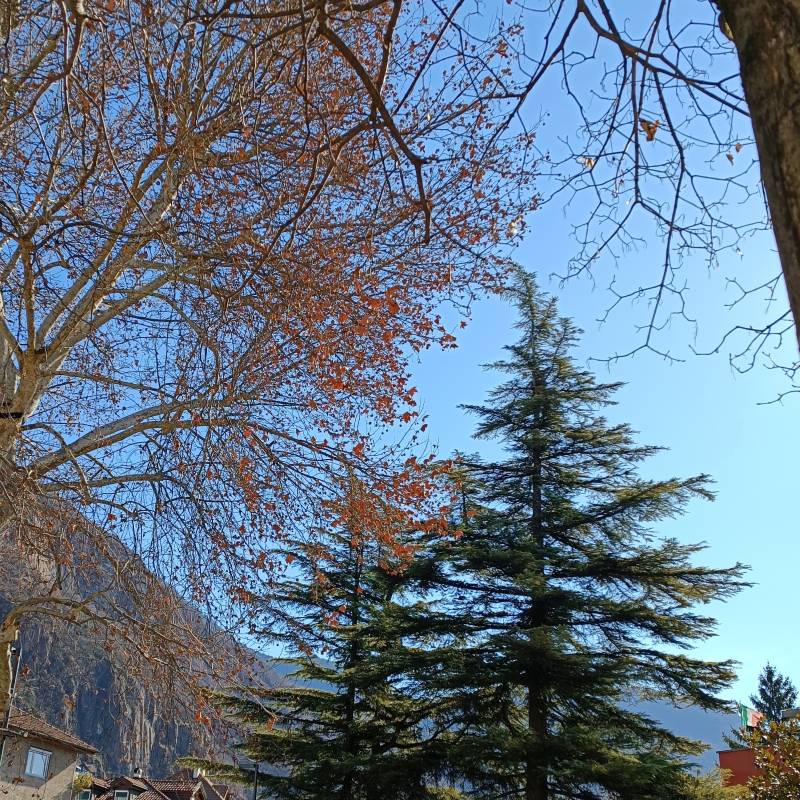 Fotosegnalazione di Laives