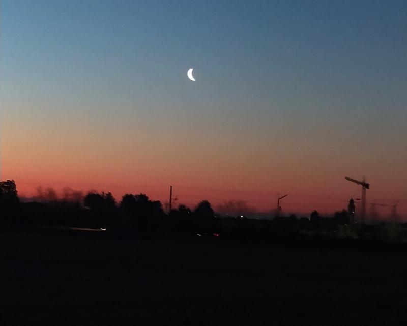 Questa mattina l'alba 636