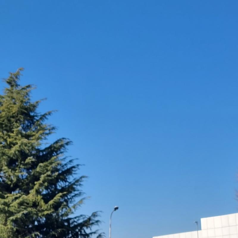 Fotosegnalazione di Albano sant'alessandro