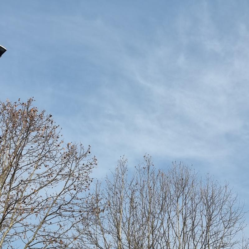 Fotosegnalazione di Albano sant'alessandro