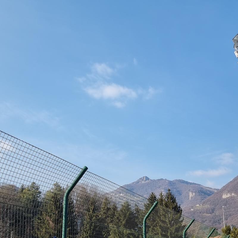 Fotosegnalazione di Albino