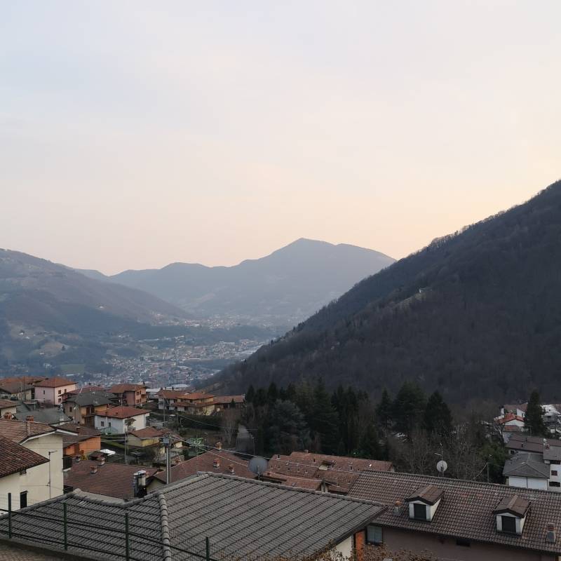 Fotosegnalazione di Gazzaniga