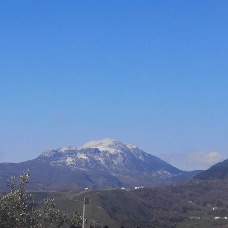 Fotosegnalazione di Aiello calabro