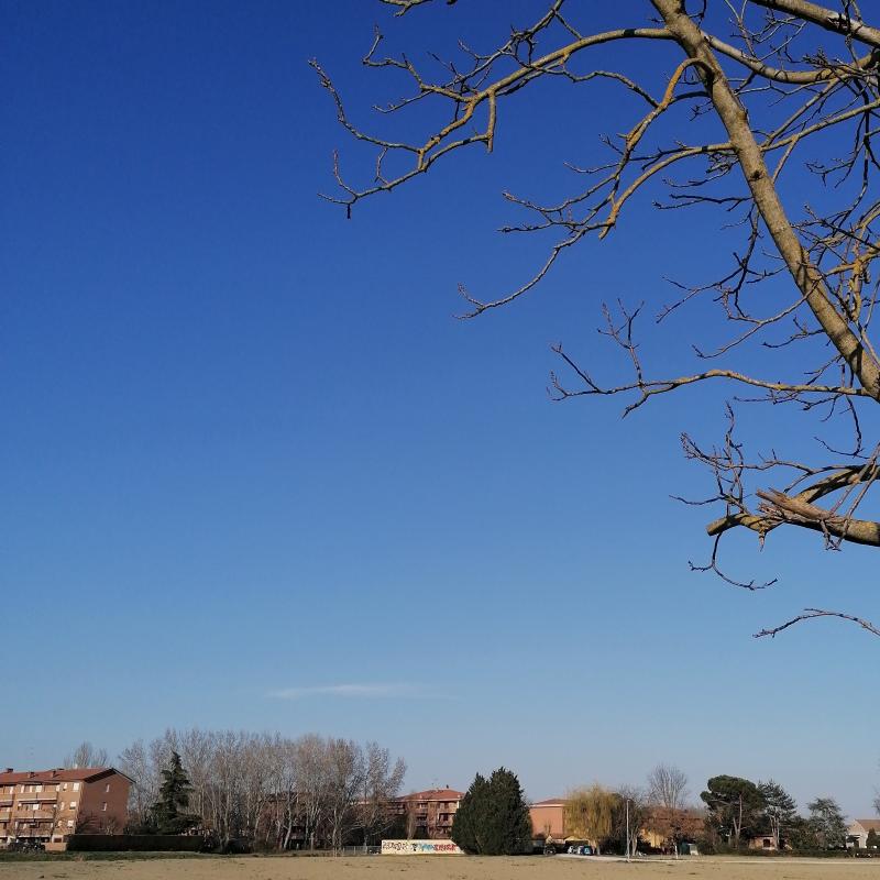 Fotosegnalazione di Ferrara
