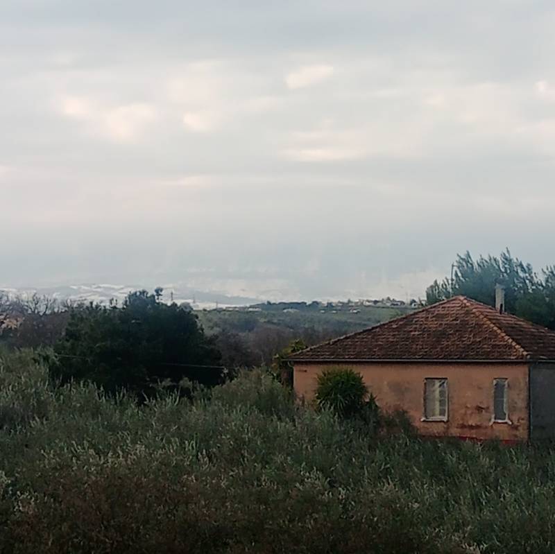 Fotosegnalazione di Cepagatti