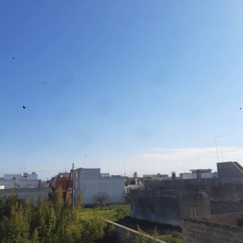 Fotosegnalazione di Monteroni di lecce