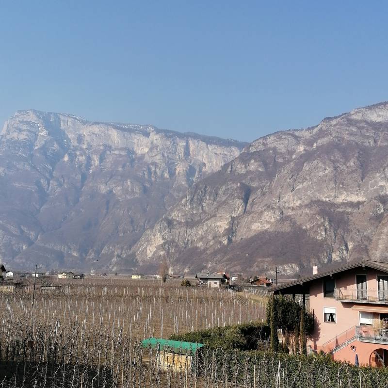 Fotosegnalazione di Nave san rocco