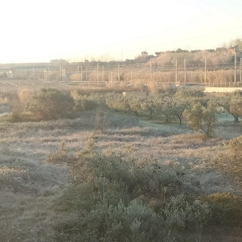 Fotosegnalazione di Vasto