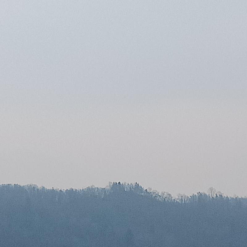 Fotosegnalazione di Ponte nelle alpi
