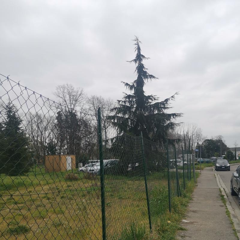 Fotosegnalazione di Pistoia