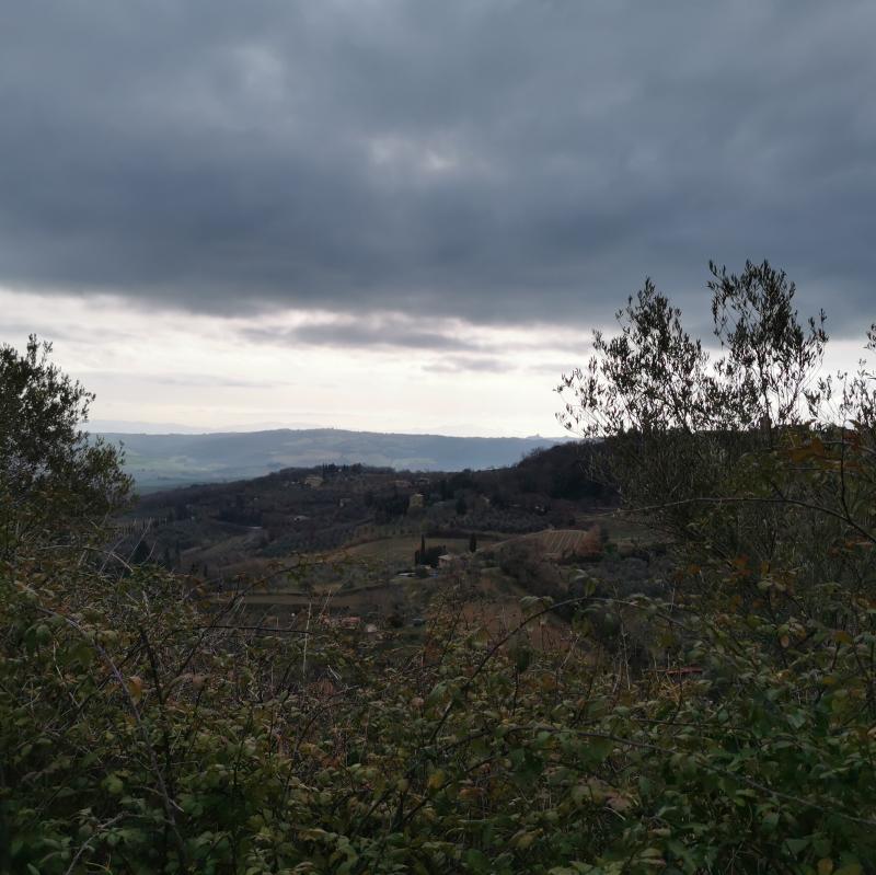 Fotosegnalazione di Montalcino
