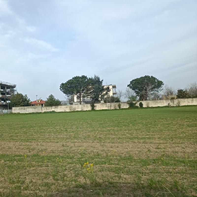 Fotosegnalazione di Orta di atella