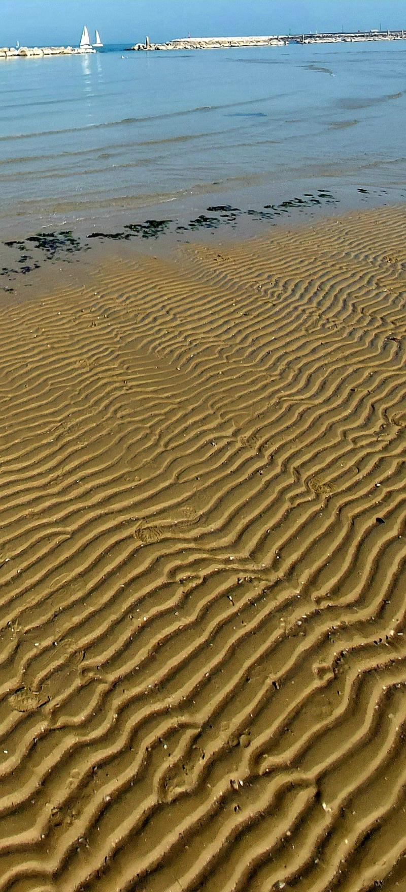 Bassa marea a Senigallia