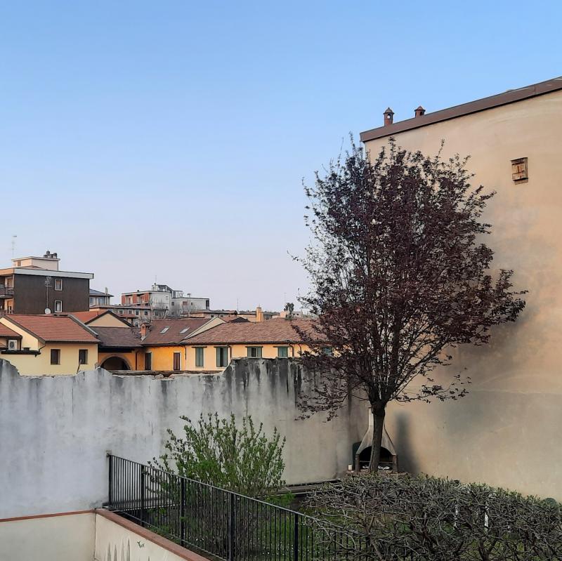 Fotosegnalazione di Milano niguarda