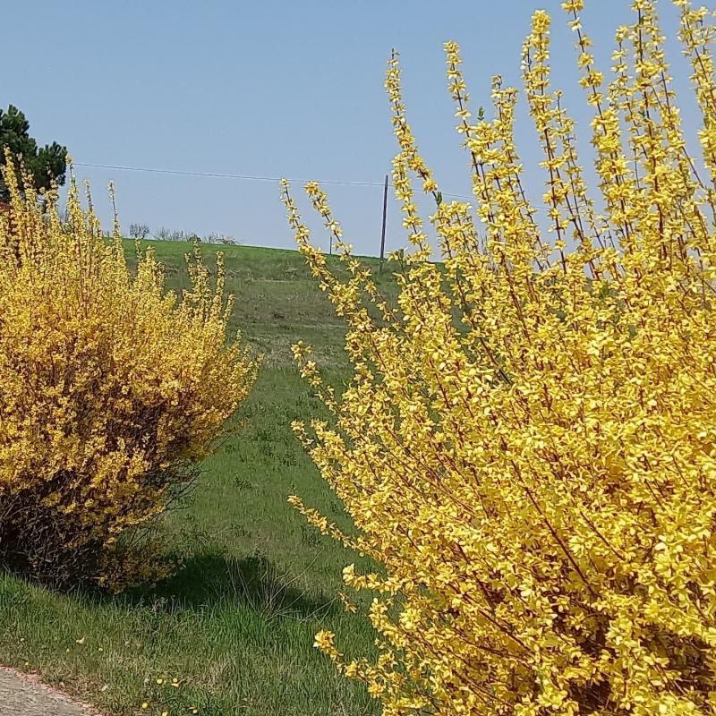 Fotosegnalazione di Casale monferrato