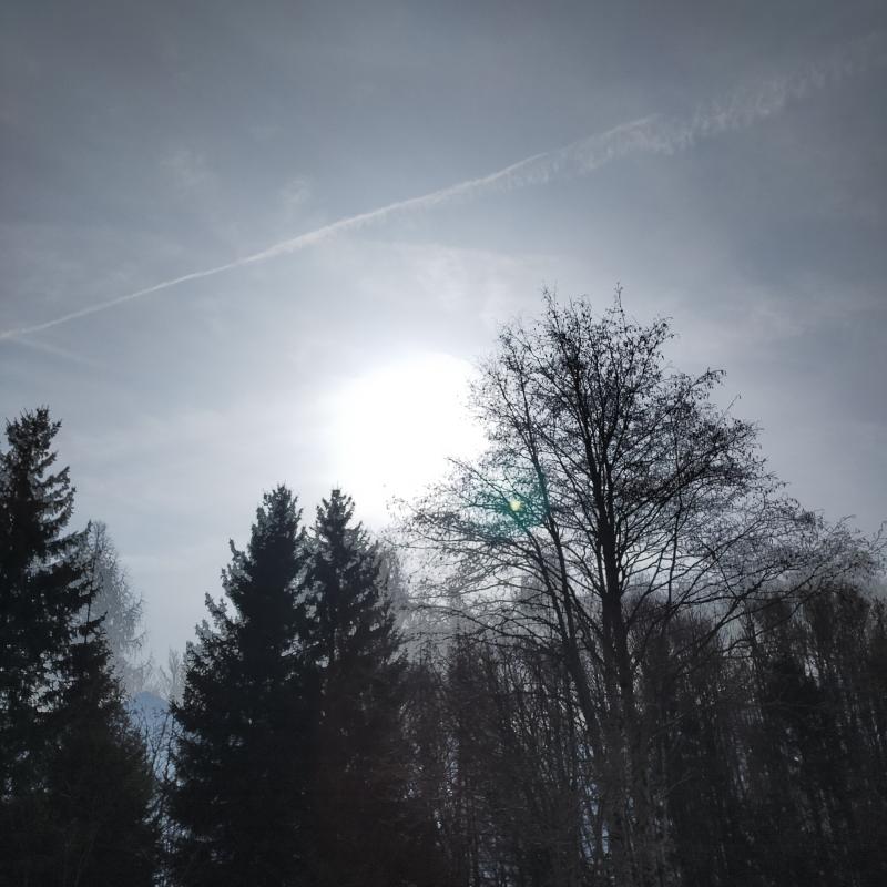 Fotosegnalazione di Sella giudicarie