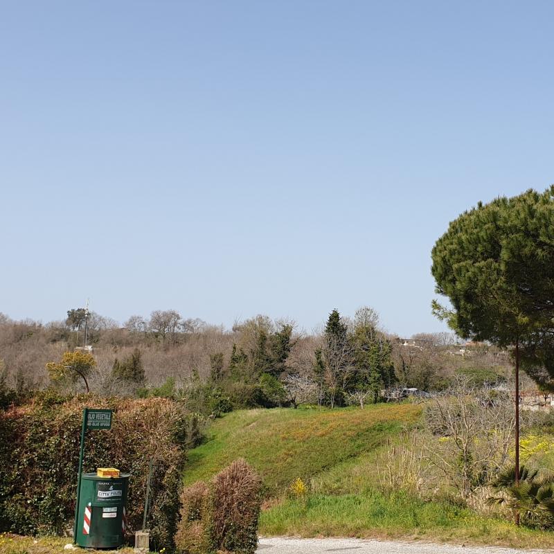 Fotosegnalazione di Francavilla angitola