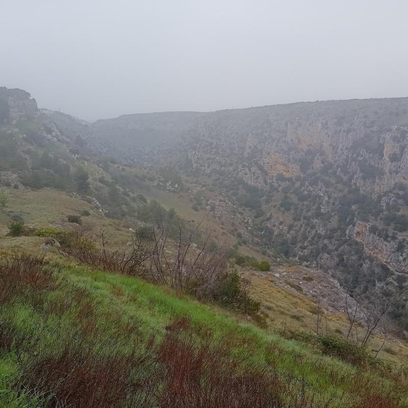 Torrente gravina