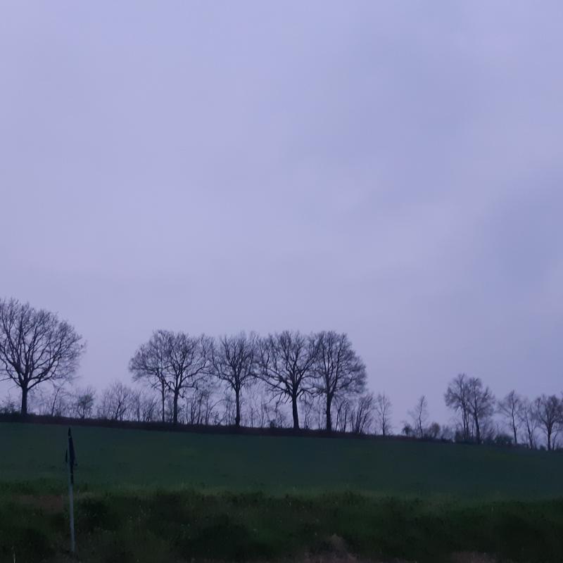 Fotosegnalazione di Alseno
