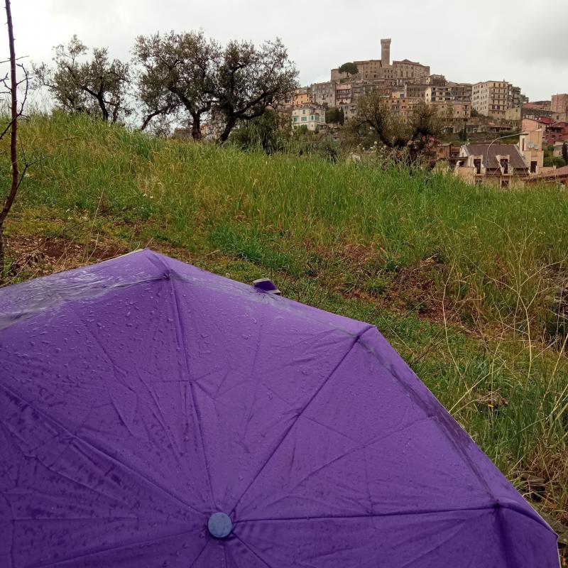 Fotosegnalazione di Palombara sabina