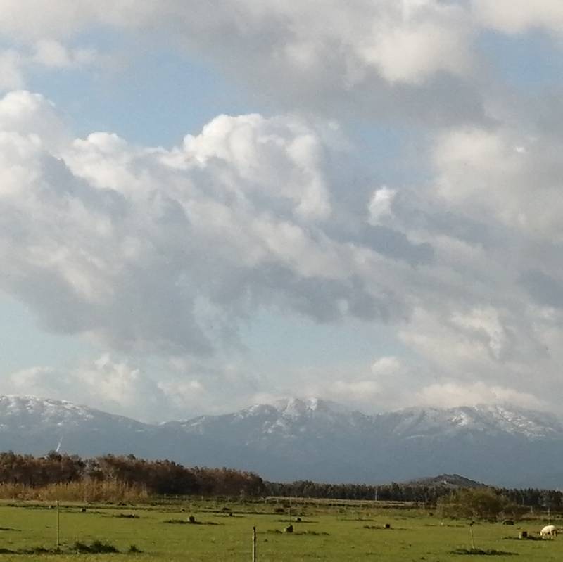 Fotosegnalazione di San nicolo' d'arcidano