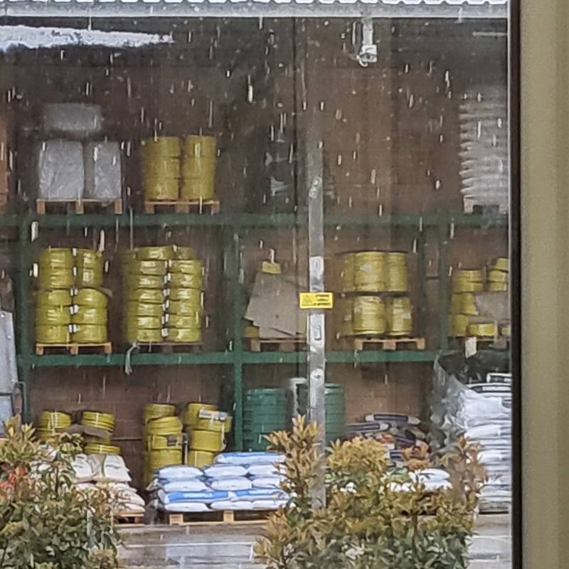Fotosegnalazione di Pescia