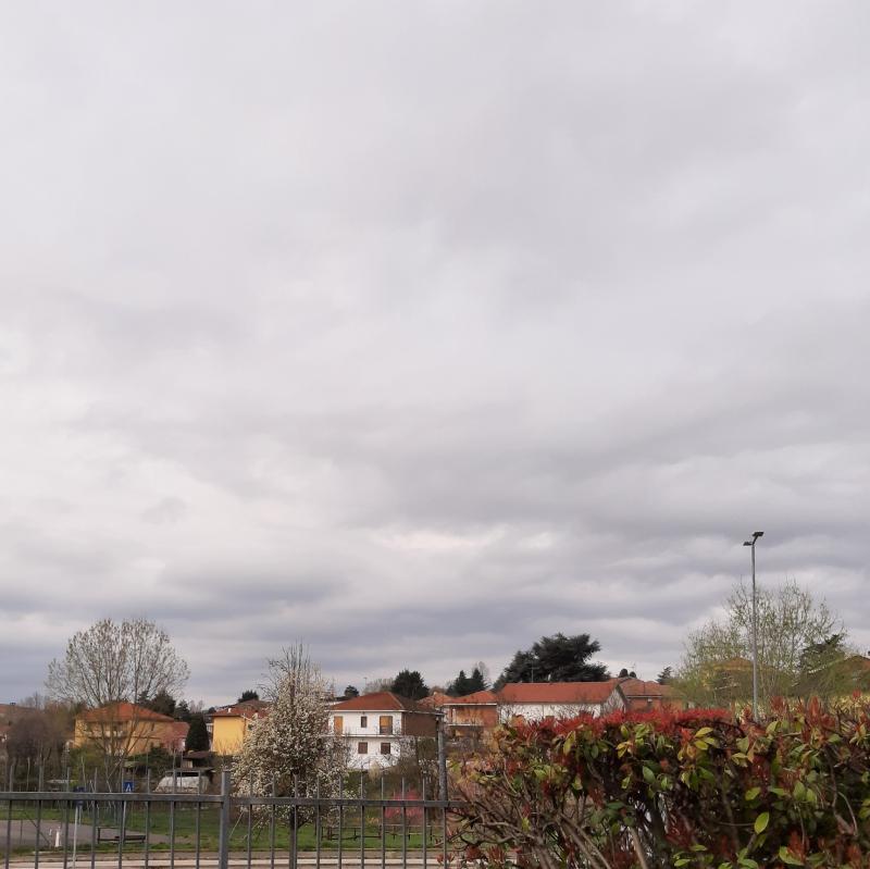 Tonalita' di grigio