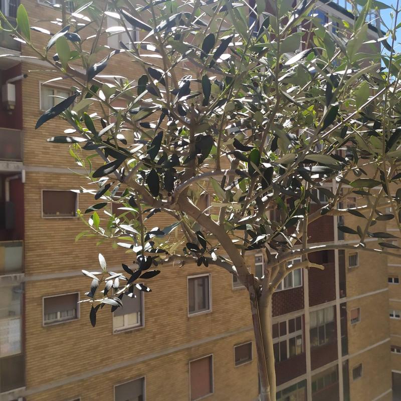 vita tra condomini