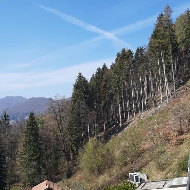 Fotosegnalazione di Alta valle intelvi