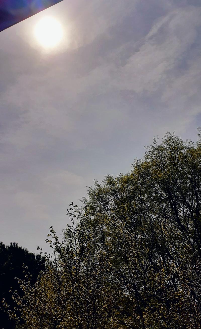 quasi sereno a parco giardino