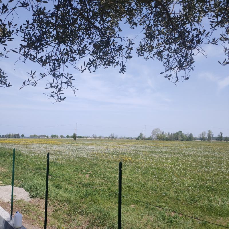 Fotosegnalazione di Morengo