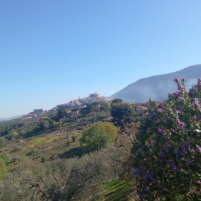 Fotosegnalazione di Palombara sabina